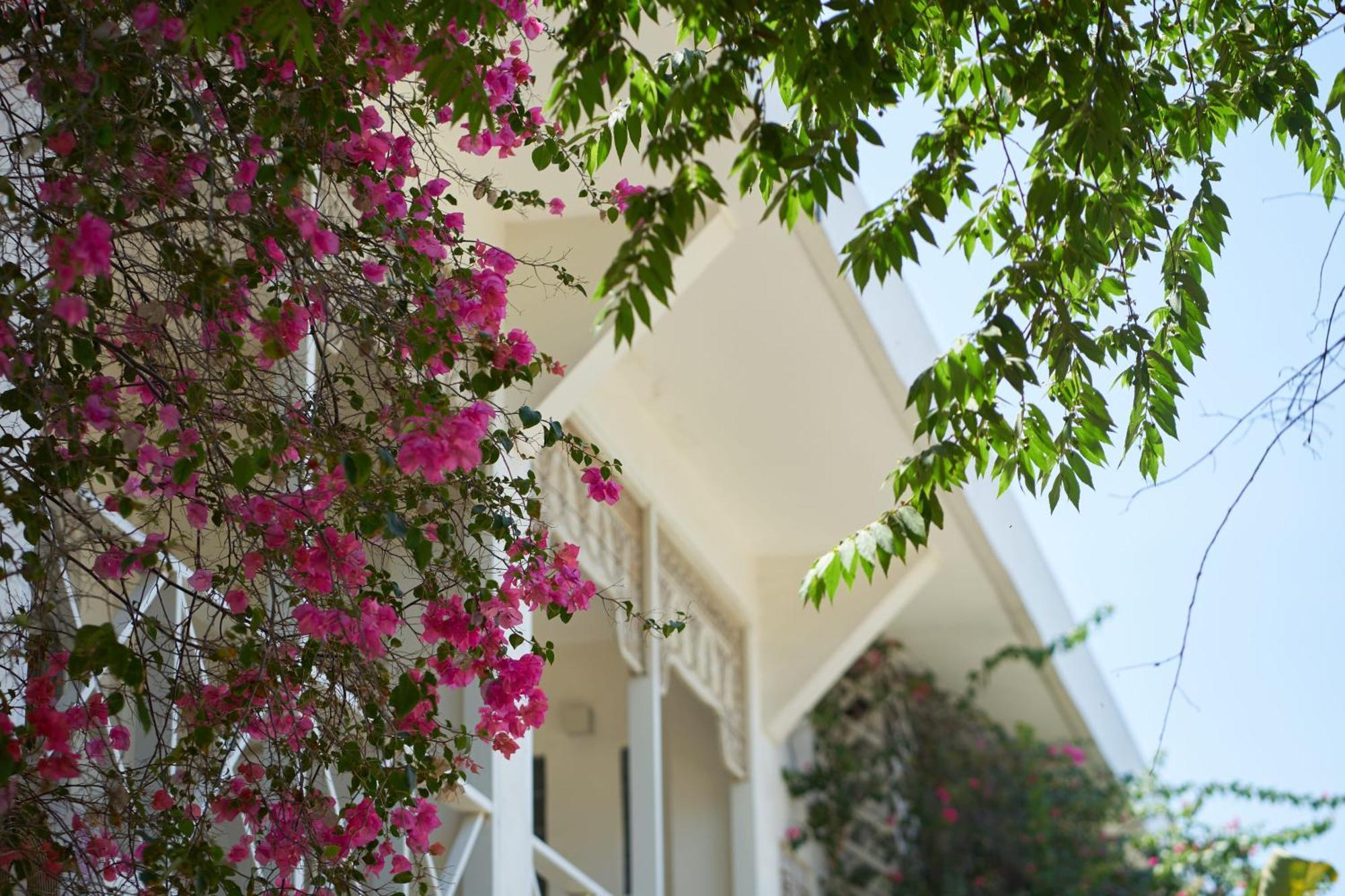 נוסה-למבונגן Isla Indah Retreat Boutique Hotel מראה חיצוני תמונה